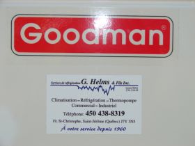 Thermopompe murale Goodman marque des plus populaires